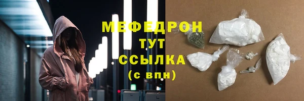 spice Богородицк