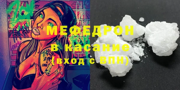 spice Богородицк