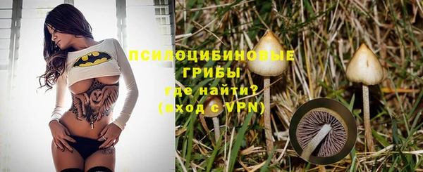 дживик Богородск