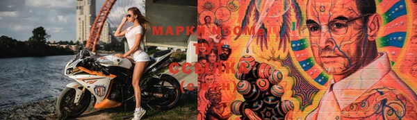 spice Богородицк