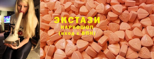 spice Богородицк