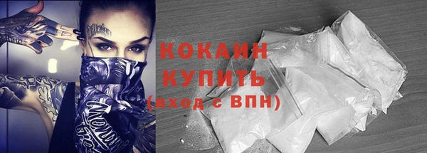дживик Богородск
