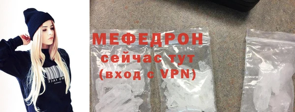 spice Богородицк