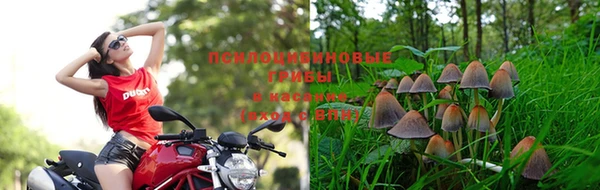 мет Богданович