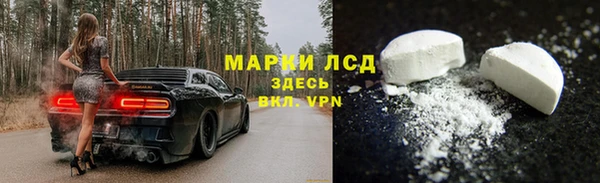 spice Богородицк