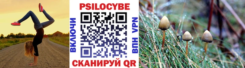 Псилоцибиновые грибы MAGIC MUSHROOMS Мещовск