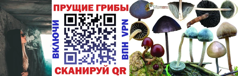 Галлюциногенные грибы Cubensis  гидра рабочий сайт  Мещовск 