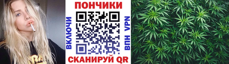 Бошки марихуана планчик  купить наркотик  Мещовск 